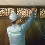 2白蟻防治5