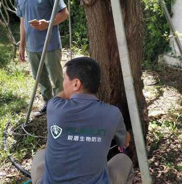 除白蟻