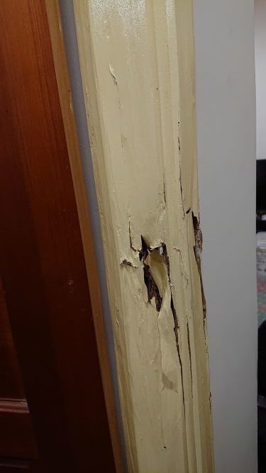 白蟻的破壞性 、除白蟻