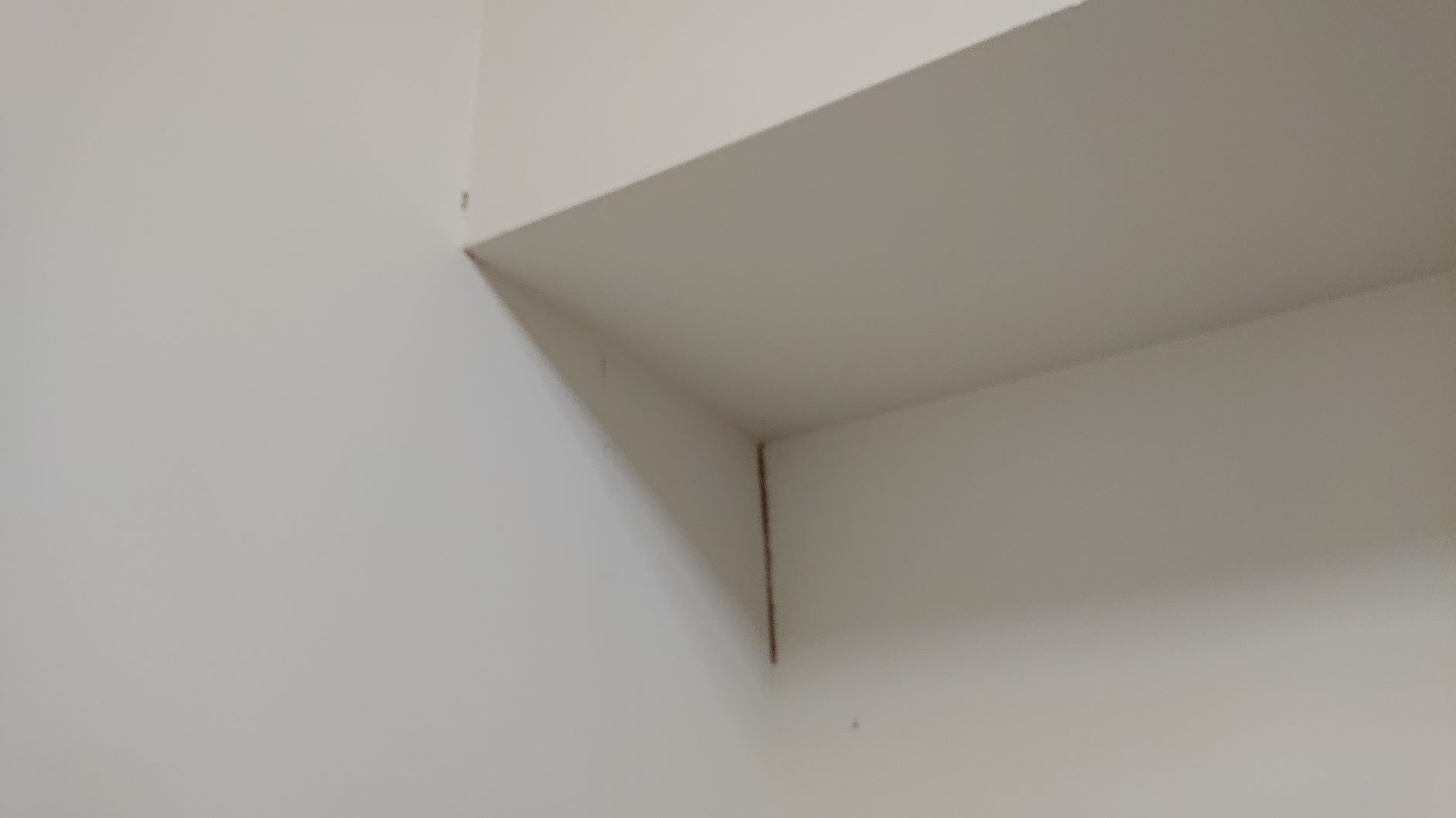 小木屋除白蟻