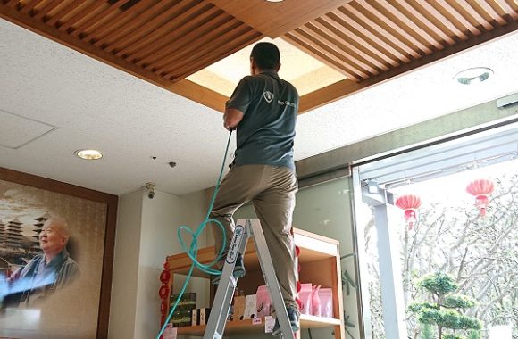 除白蟻
