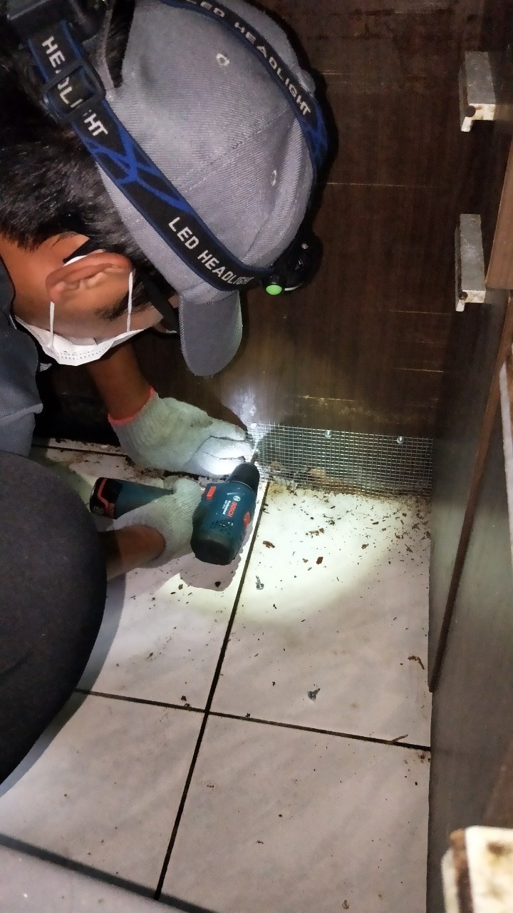 苗栗鼠害防治
