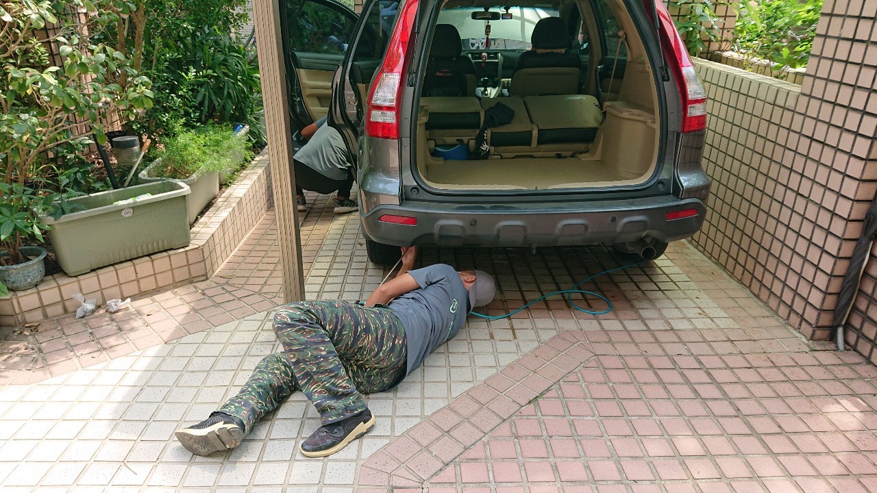 車子怎麼有螞蟻?