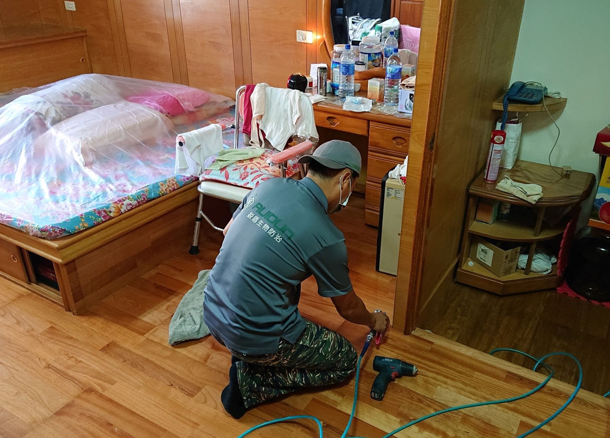 苗栗地區白蟻防治