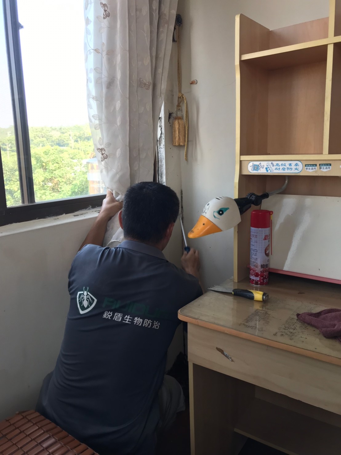 頭份白蟻防治