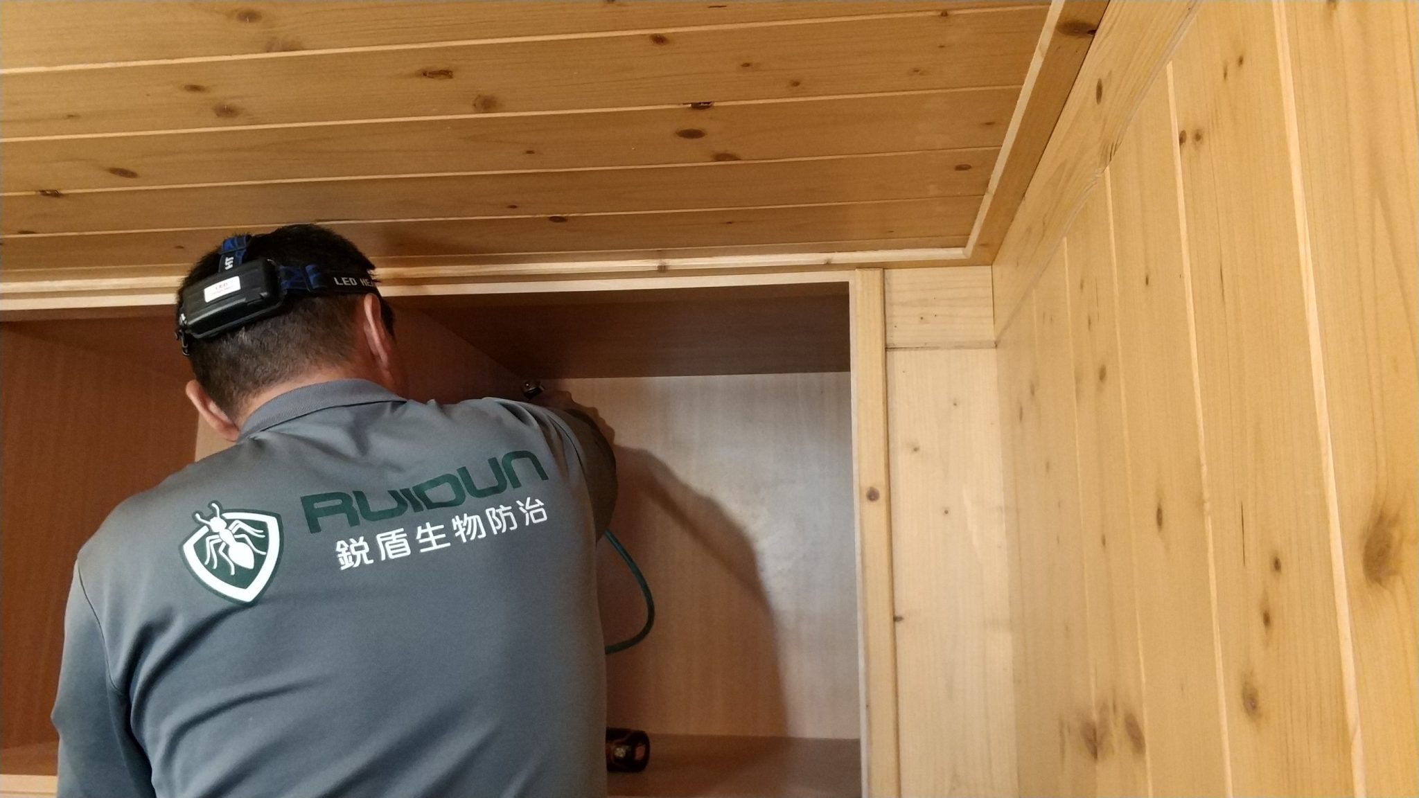 小木屋除白蟻專家