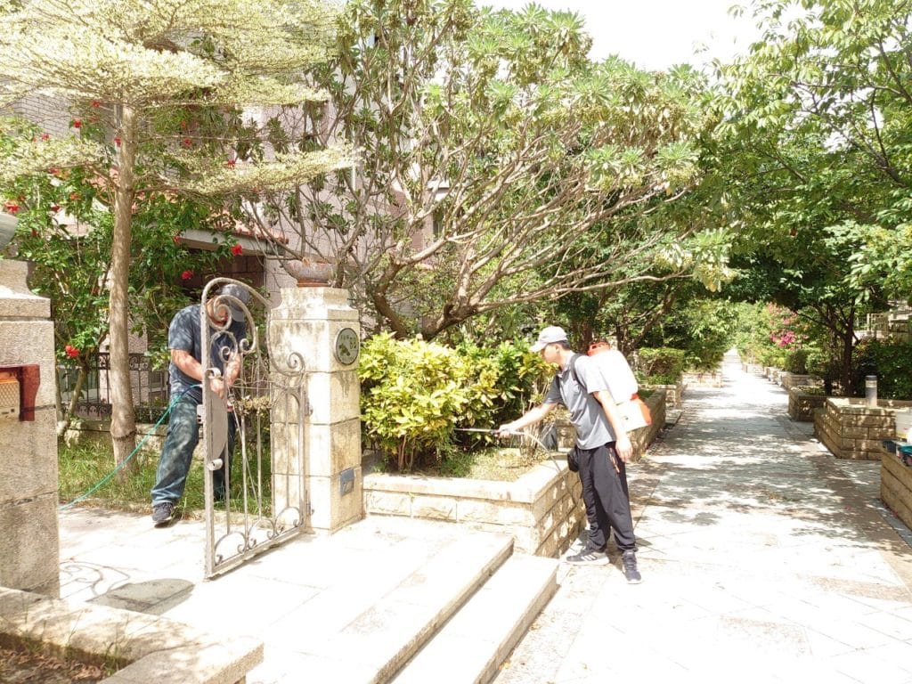 白蟻防治