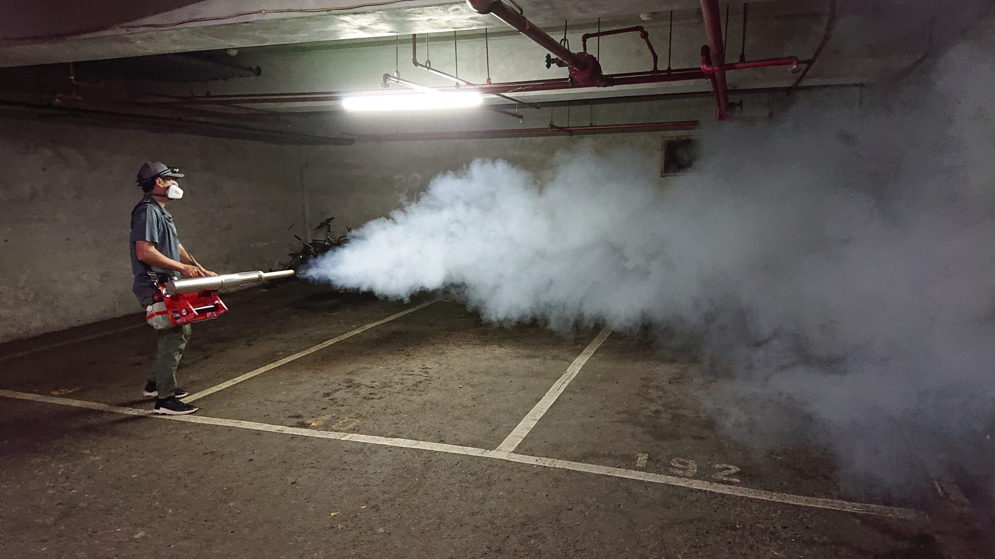 停車場的蚊蟲問題