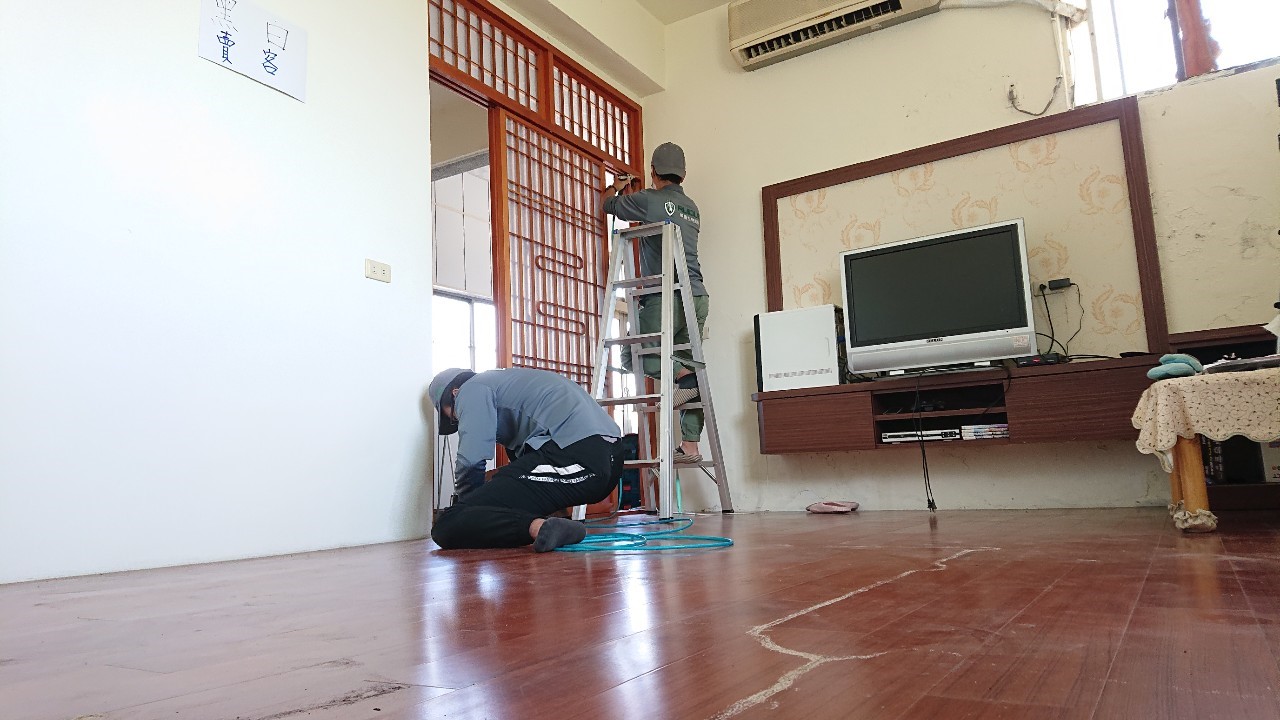 鐵皮漏水長白蟻