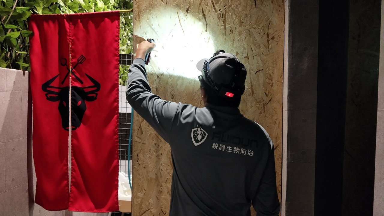 專業除白蟻團隊