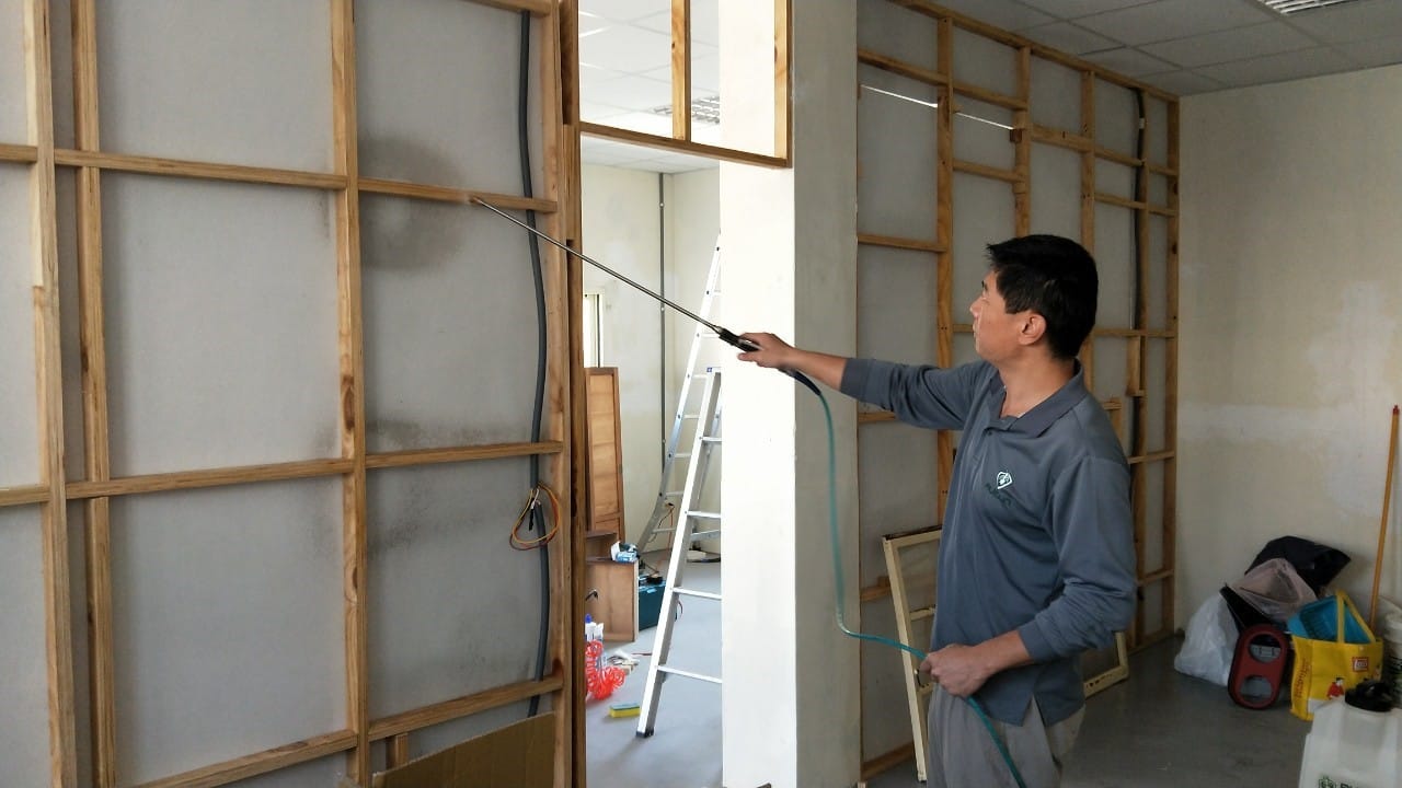 老屋白蟻