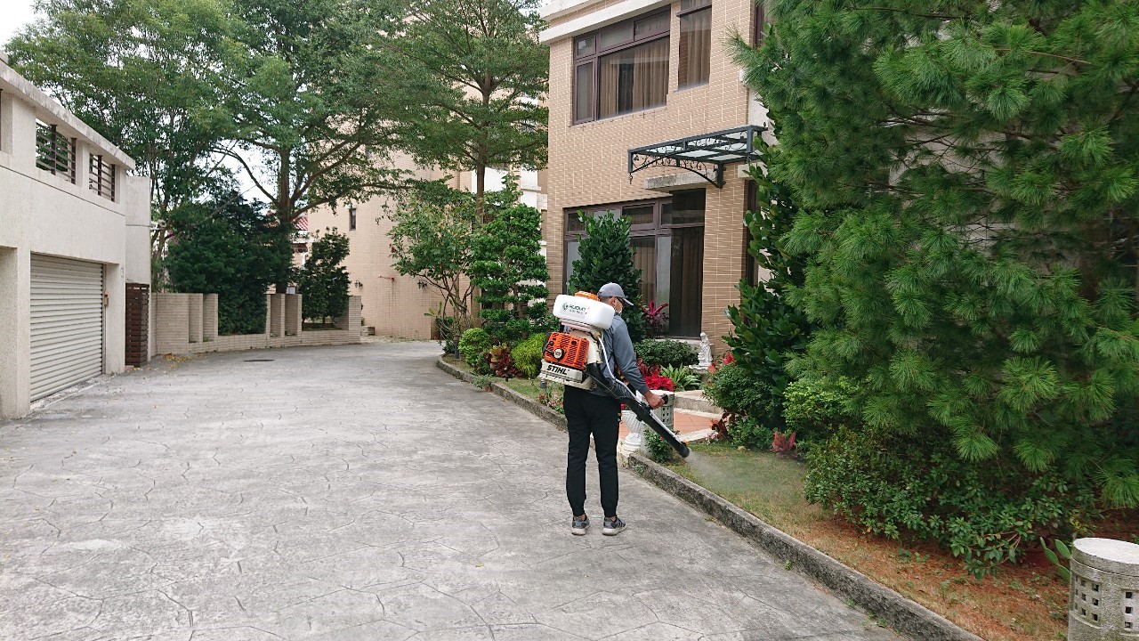 螞蟻防治