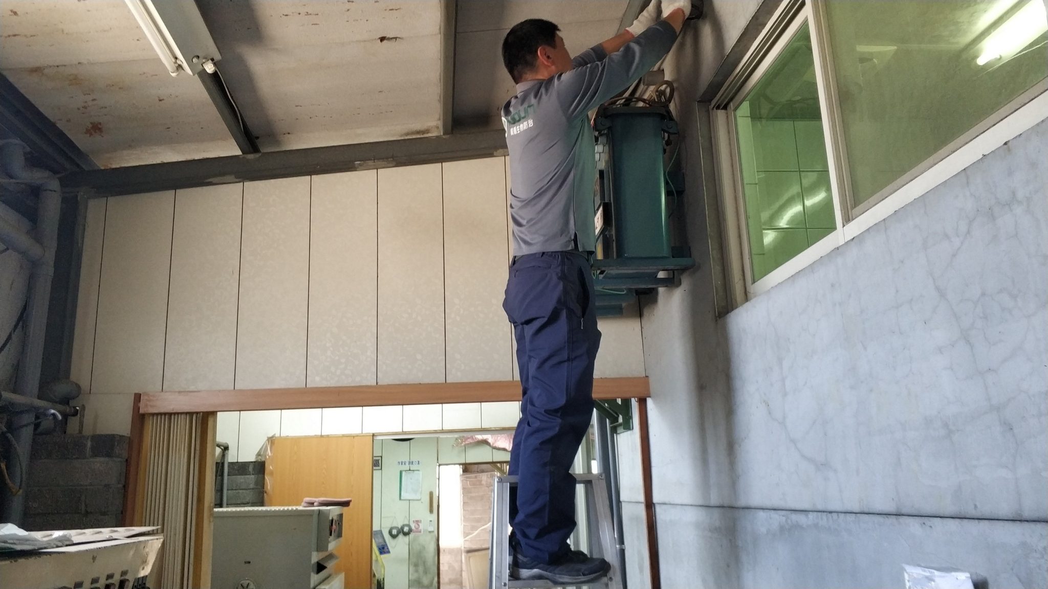 苗栗鼠害防治