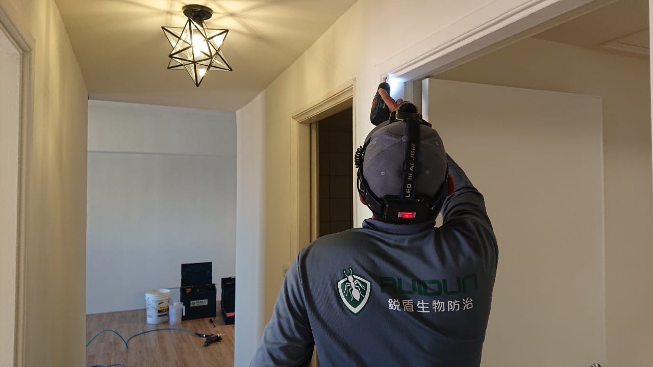 大樓除白蟻