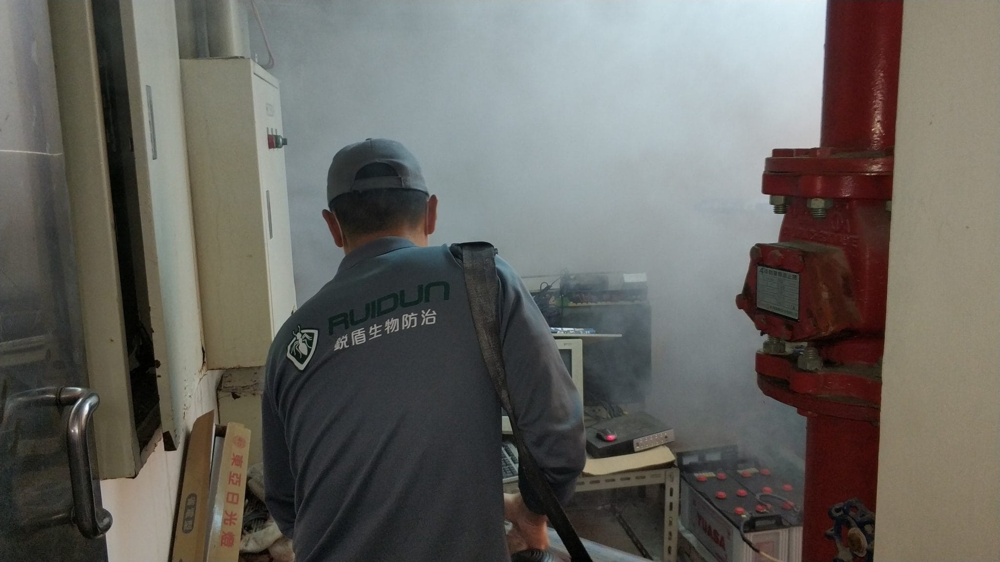 有聽過地下家蚊嗎