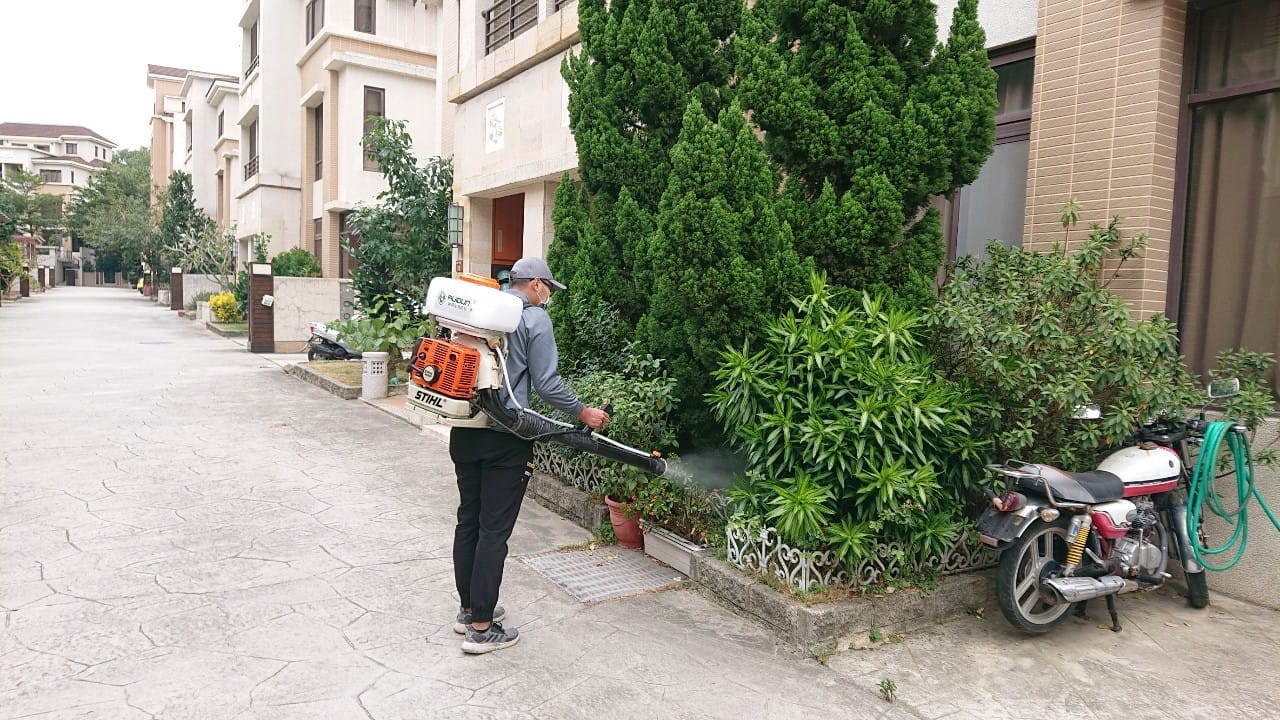 跳蚤怎麼處理