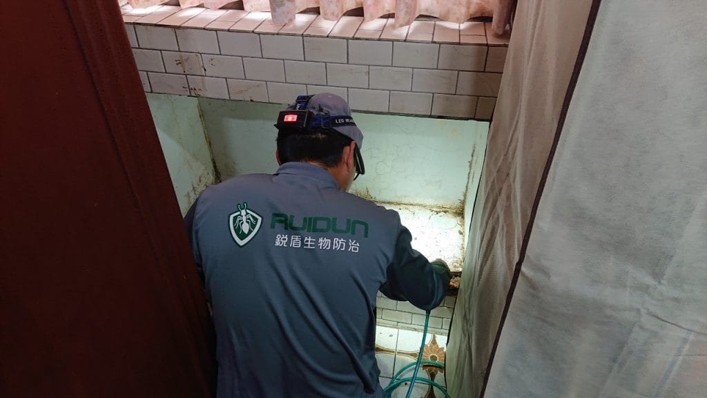 除白蟻
