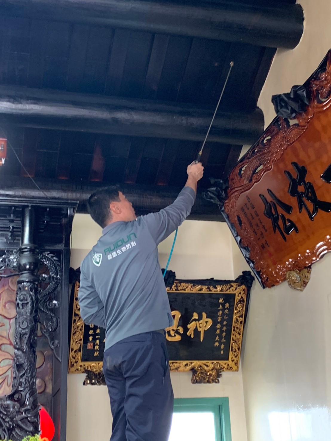 廟宇白蟻防治