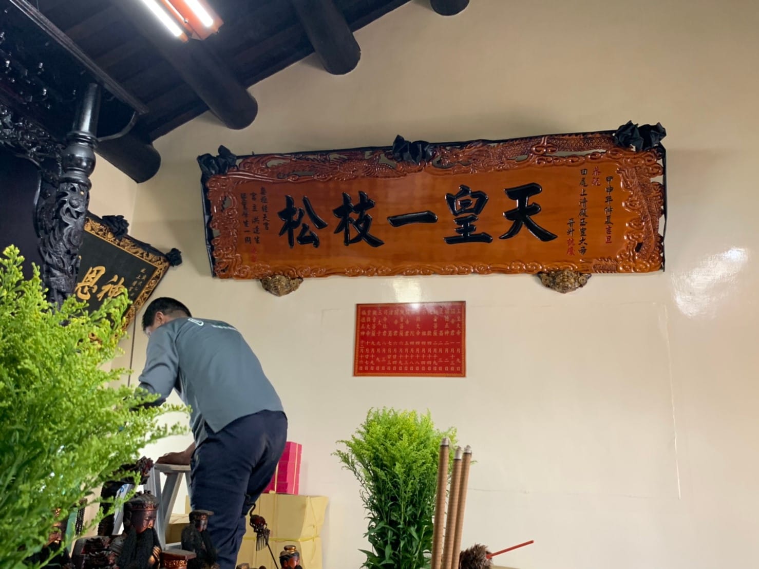 白蟻防治