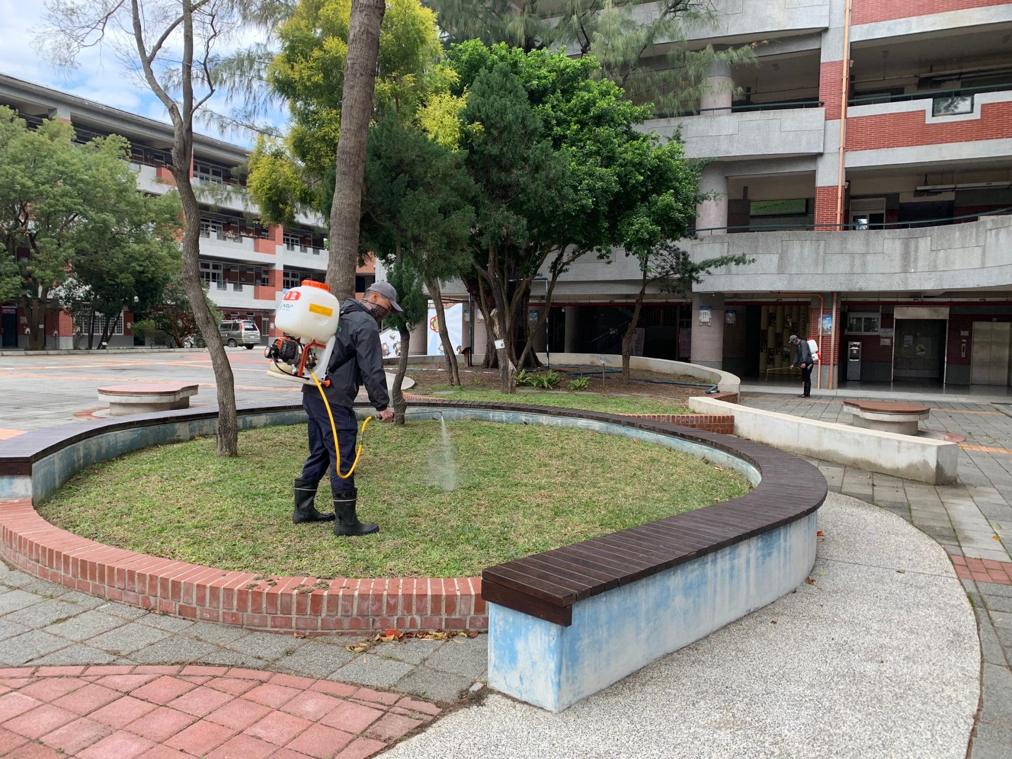 新竹、苗栗紅火蟻
