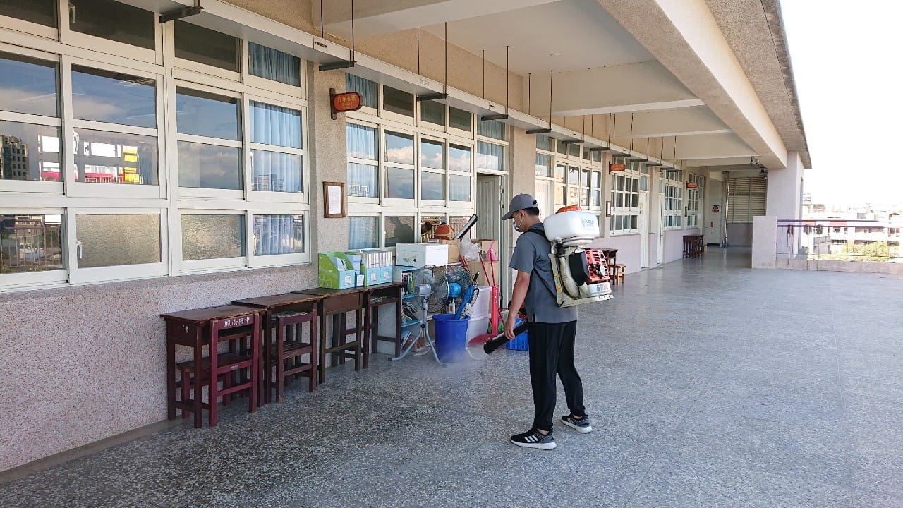 專業除蚤