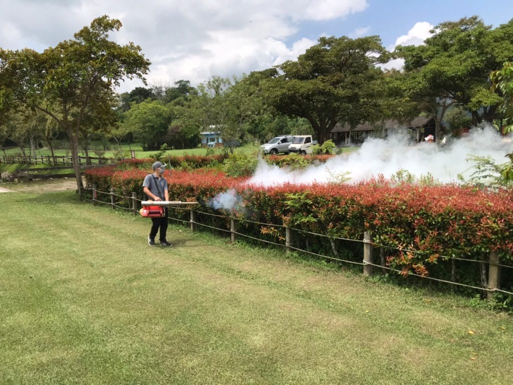 苗栗除蚊蟲