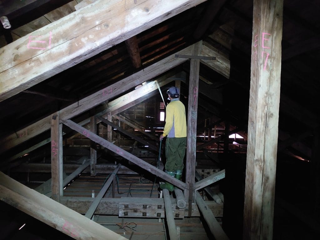 歷史建築除白蟻