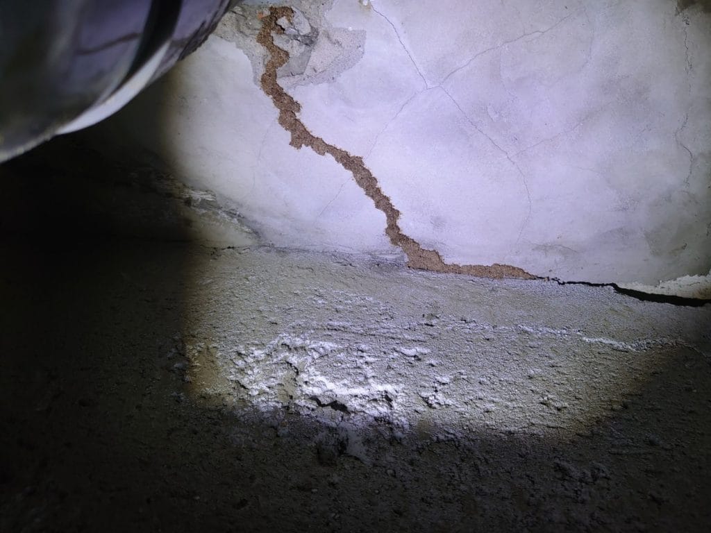 全面白蟻防治