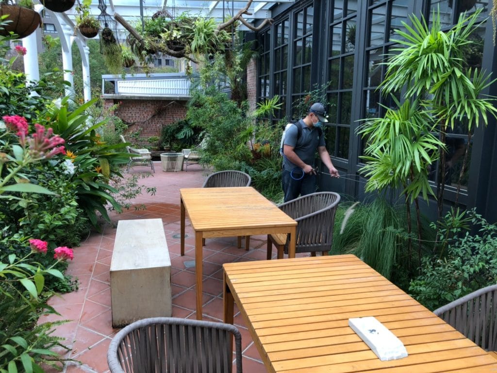 餐廳蟲害防治