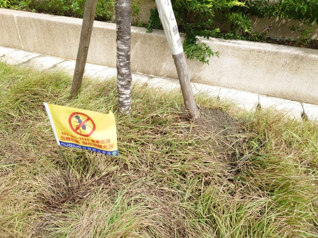 新竹紅火蟻防治