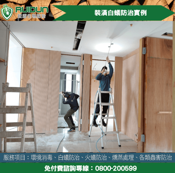 專業除白蟻規劃