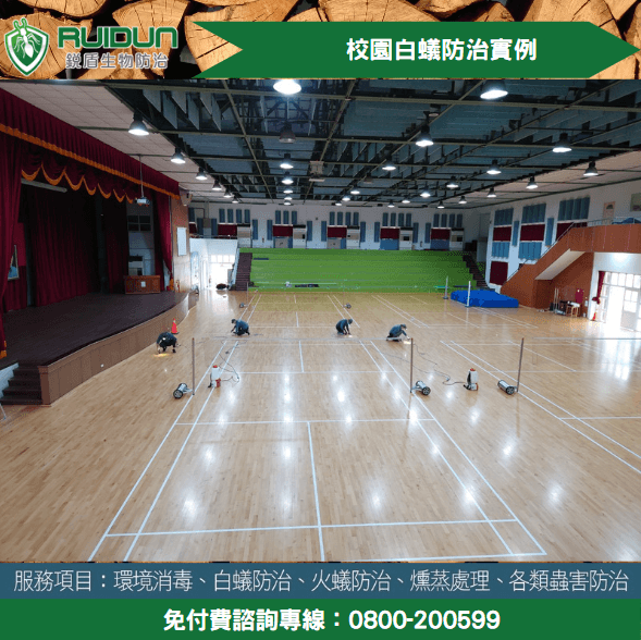 專業除白蟻規劃