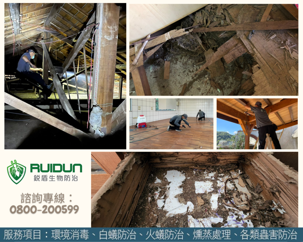 優質除白蟻公司