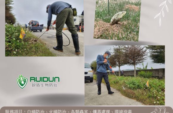 紅火蟻防治專業團隊