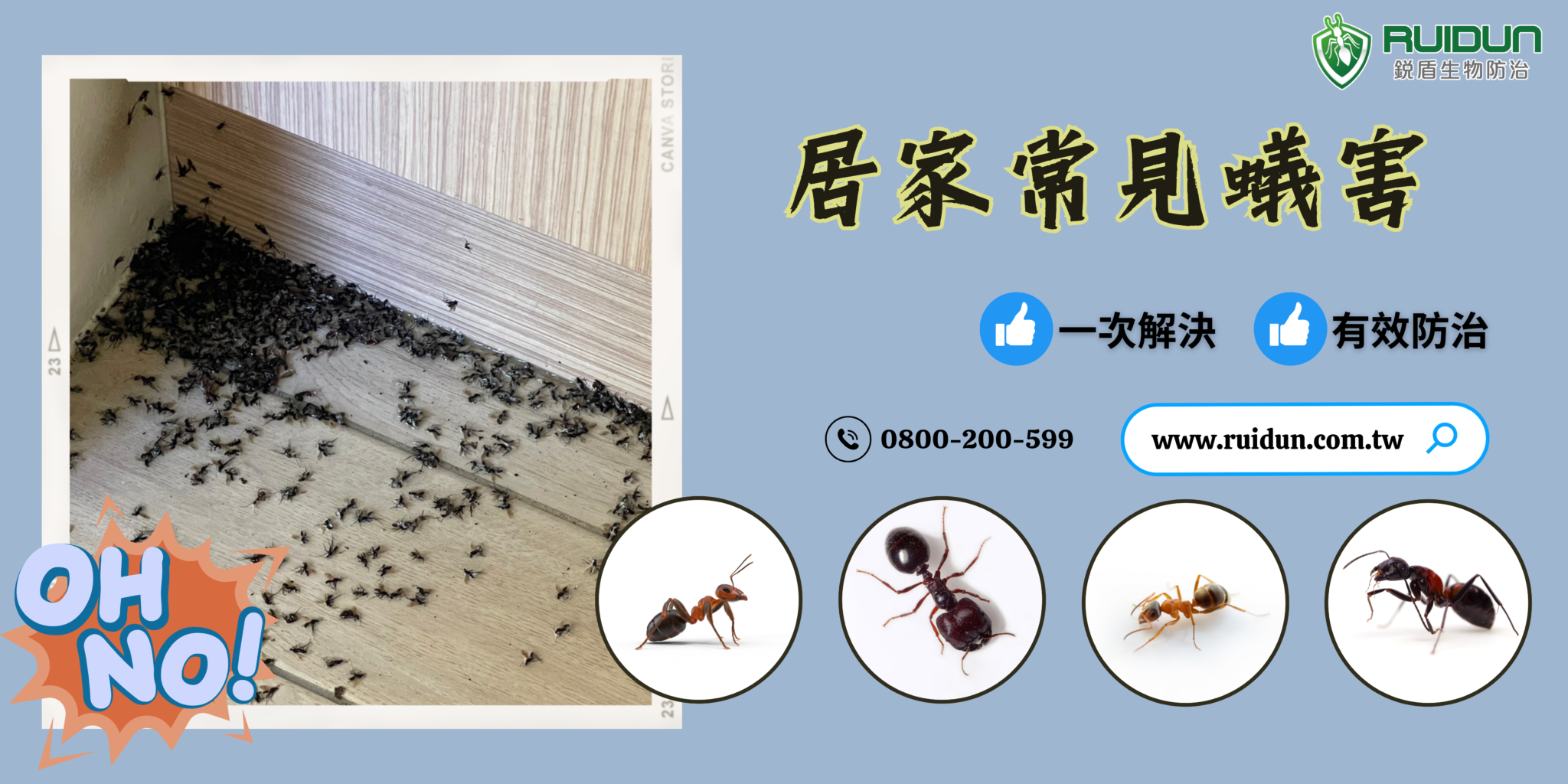 《居家常見螞蟻》 銳盾生物防治有限公司 - 苗栗 除白蟻 | 除蟲 公司 – 新竹除蟲公司– 苗栗除蟲公司– 除蟲公司