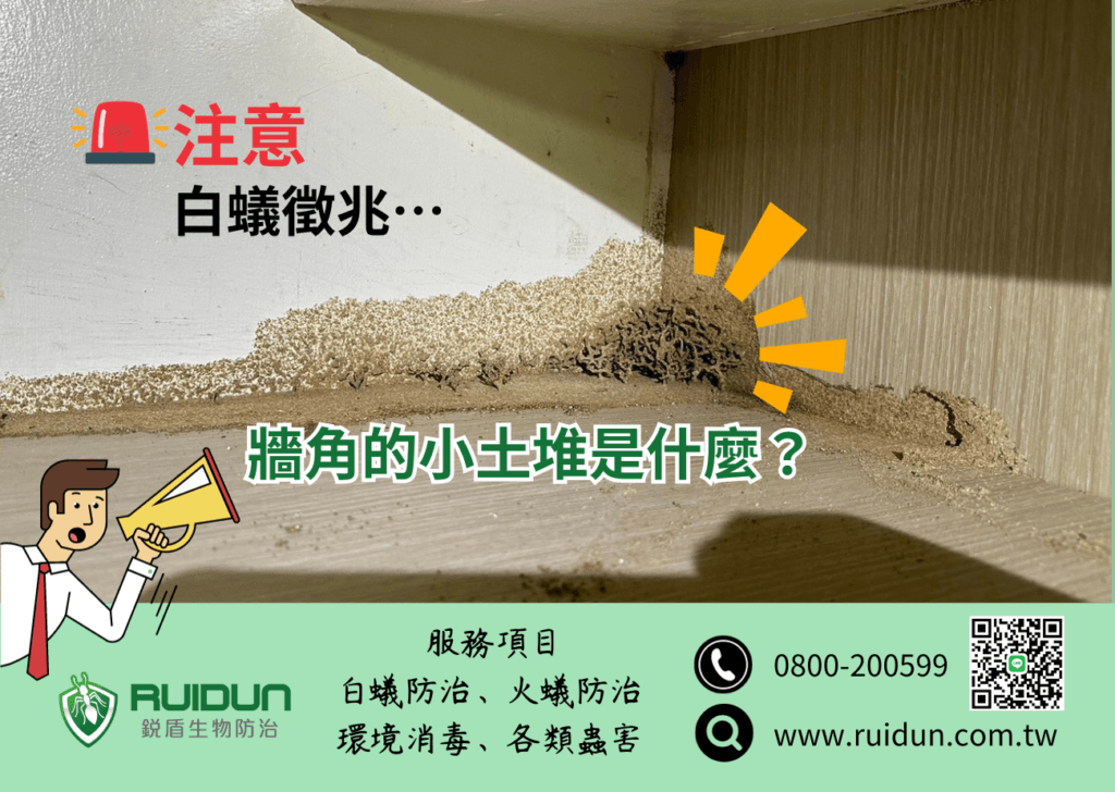 《牆角的小土堆是什麼?》 銳盾生物防治有限公司 - 苗栗 除白蟻 | 除蟲 公司 – 新竹除白蟻– 苗栗除白蟻– 除白蟻公司