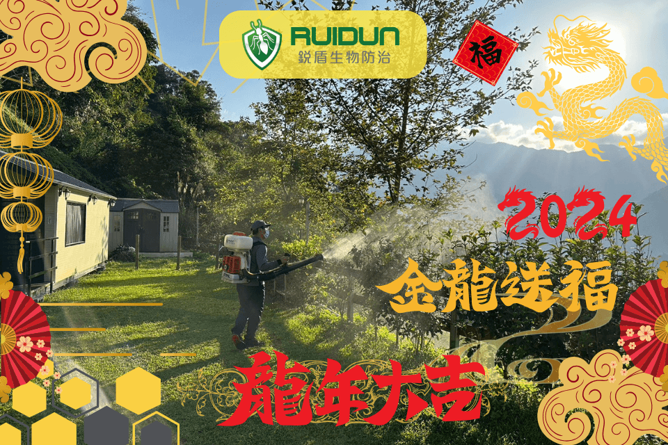 流感病毒