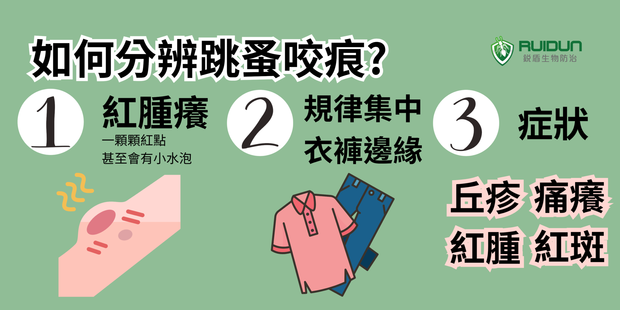 跳蚤 咬傷