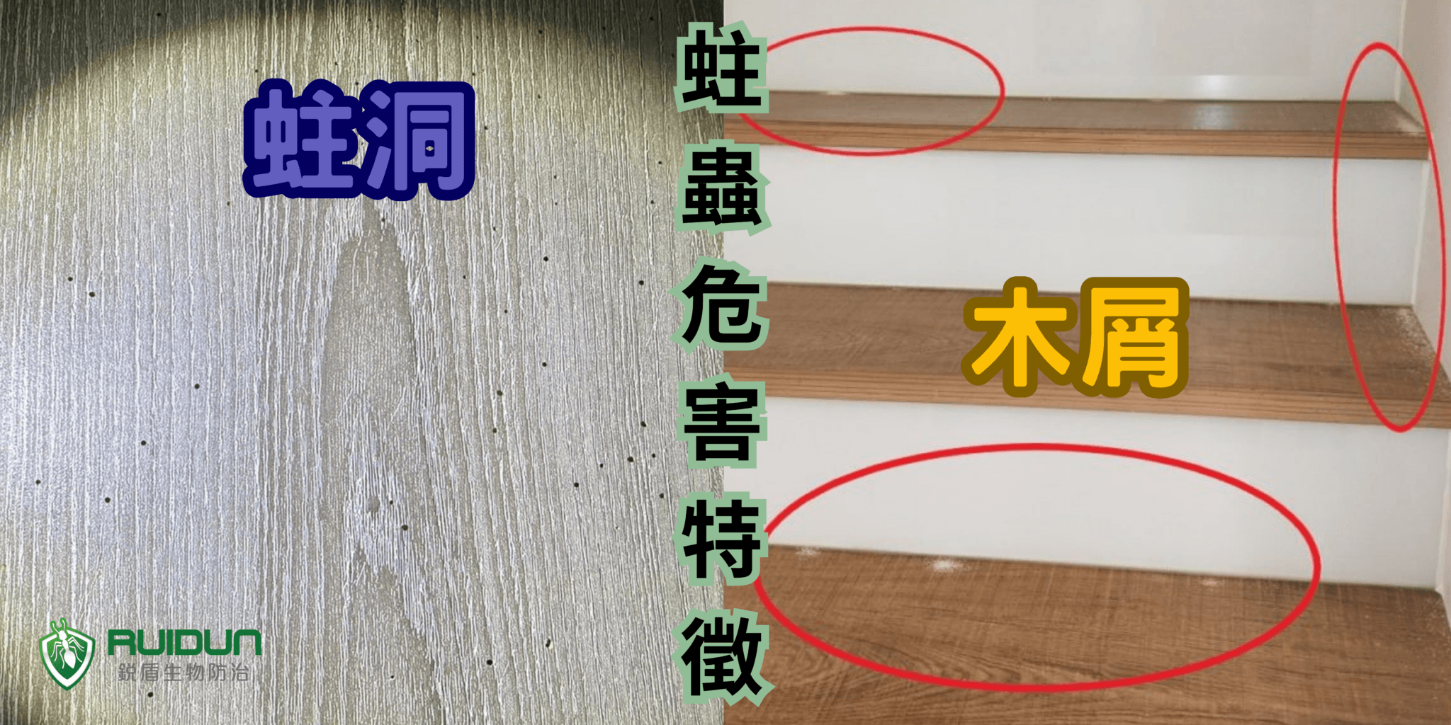 蛀蟲 危害