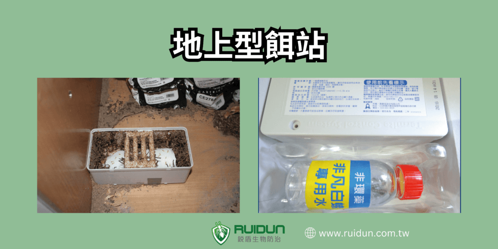 新竹苗栗除白蟻推薦 白蟻怕什麼?