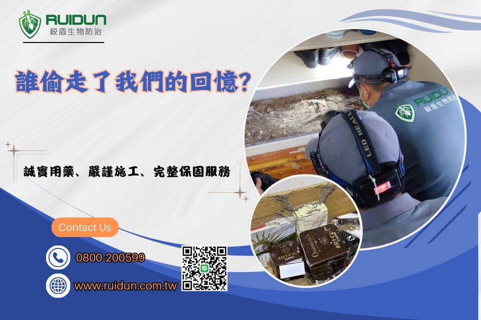 除白蟻大軍
