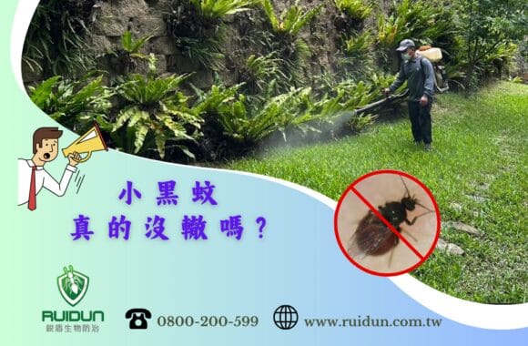 預防小黑蚊