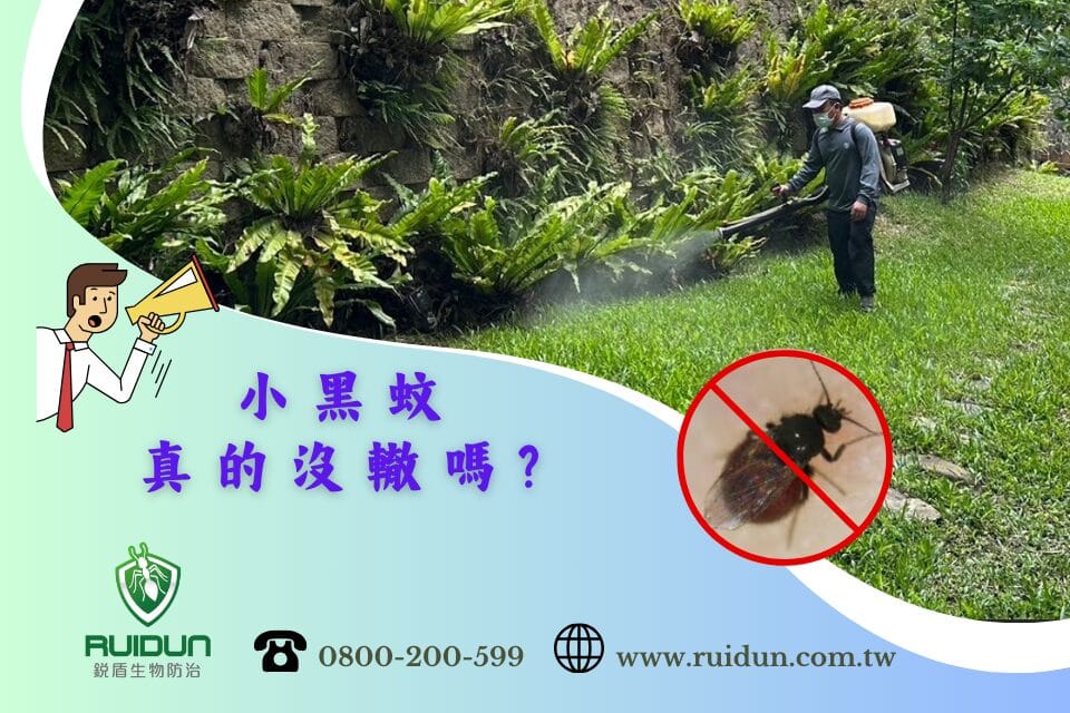 預防小黑蚊