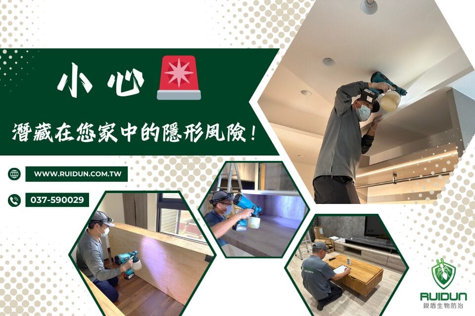 甲醛治理對策