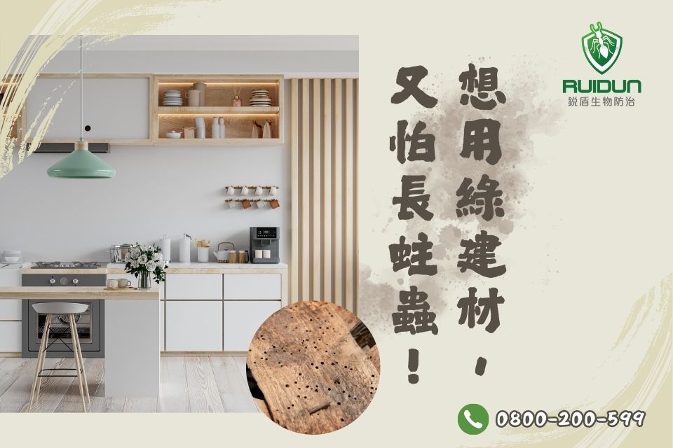 綠建材蛀蟲