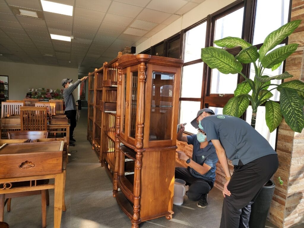 專業除白蟻