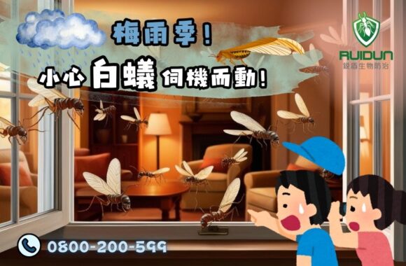 夏季蟲害防治