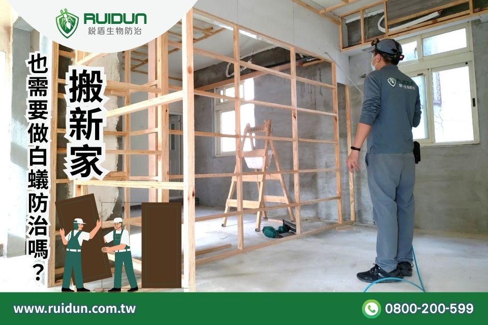新房白蟻預防
