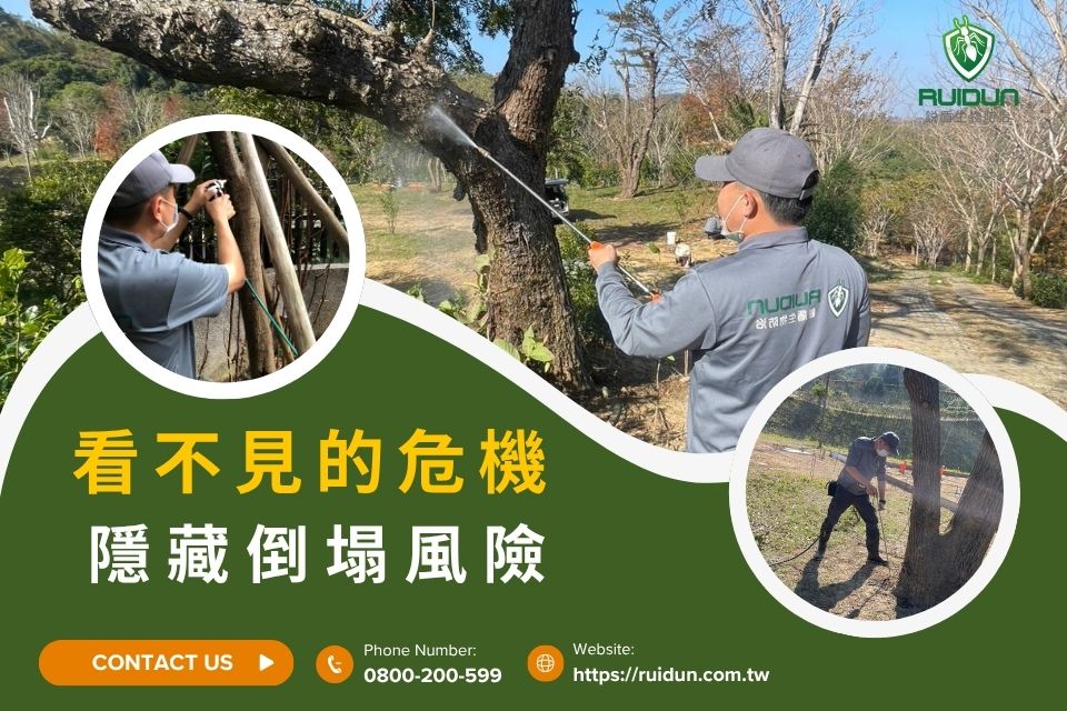 樹木白蟻預防