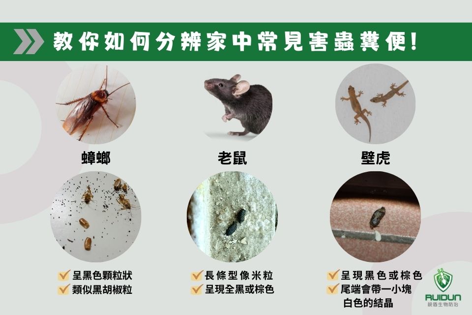 蟲害糞便